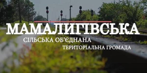 Мамалигівська ОТГ активно впроваджує молодіжну політику в умовах децентралізації