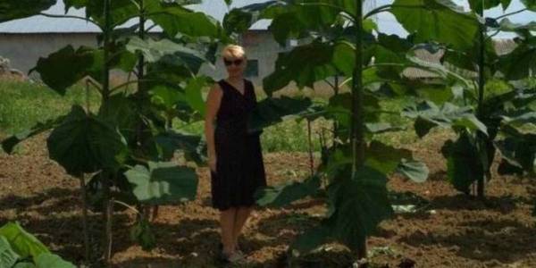 На Тернопільщині створили першу в Україні енергетичну ферму