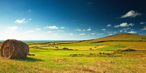 15 ОТГ Харківщини вже отримали у власність земельні ділянки за межами населених пунктів