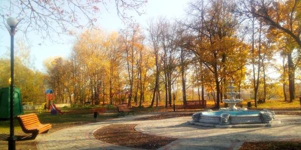 У  Кам’янській громаді відкриють єдиний в Україні  «ChildrenMusicPark»  та планують поставити унікальний балет на воді