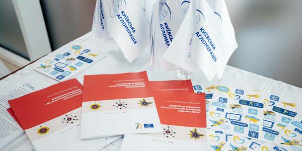 Metropolitan Governance in Kyiv: Council of Europe Survey