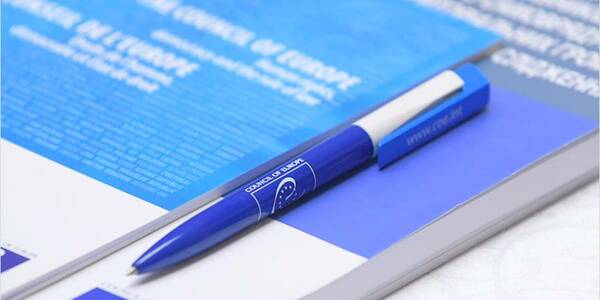 Рада Європи презентувала свій висновок щодо законопроекту про місцеві державні адміністрації в Україні