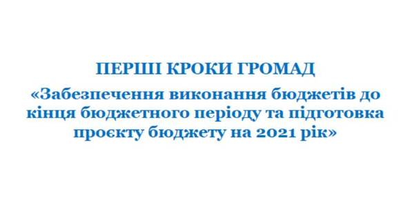 Local budget performance by the end of the year and 2021 budget drafts preparation – a manual by U-LEAD with Europe