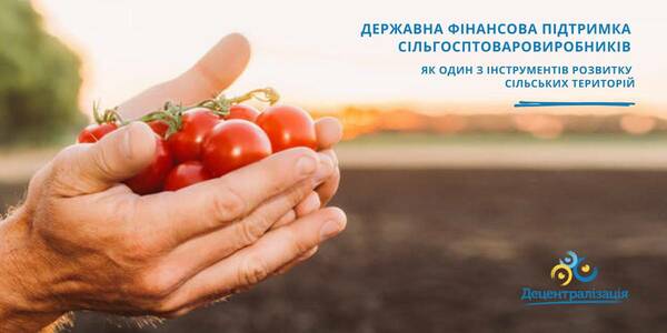 State financial aid for agricultural produce manufacturers as a tool of rural territories development