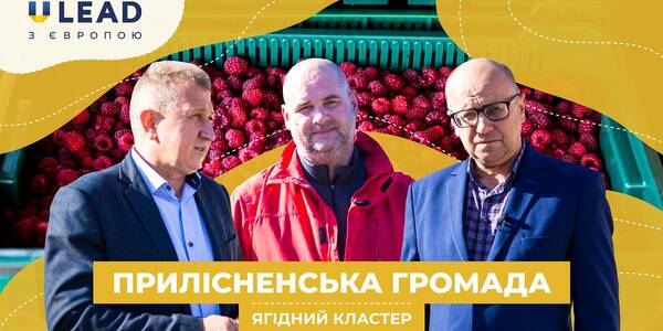 Як громада перетворила занедбані землі на ягідний кластер та експортує продукцію за кордон