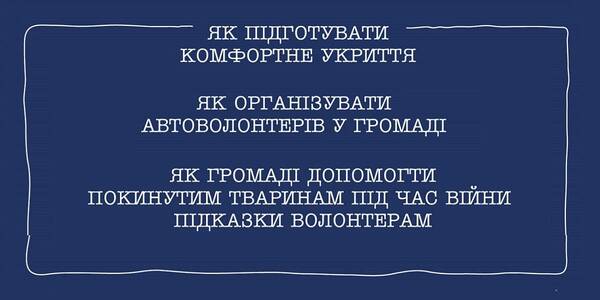 Як облаштувати дружнє для людей укриття, організувати автоволонтерів, допомогти покинутим тваринам під час війни - інфографіки