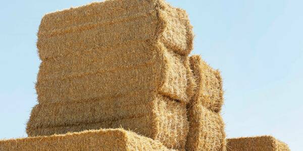 За підтримки U-LEAD громада з Херсонщини відновлює енергетичну незалежність