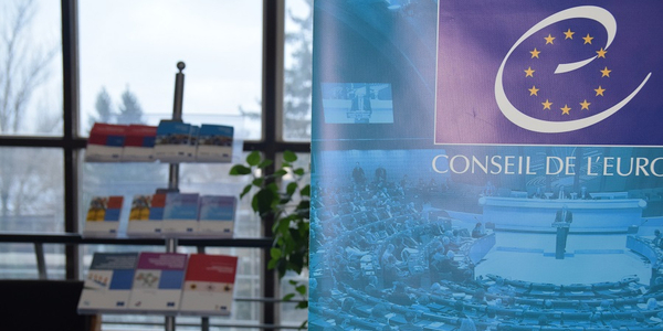 Рада Європи підтримує вдосконалення системи професійного навчання в Україні