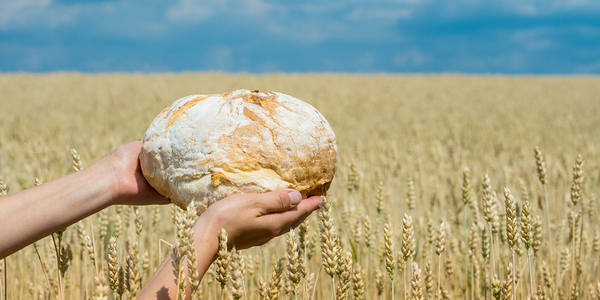 Грантові можливості у сфері продовольчої безпеки
