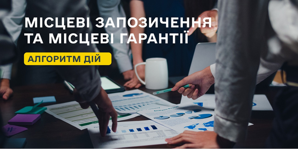 Місцеві запозичення та місцеві гарантії: алгоритм дій