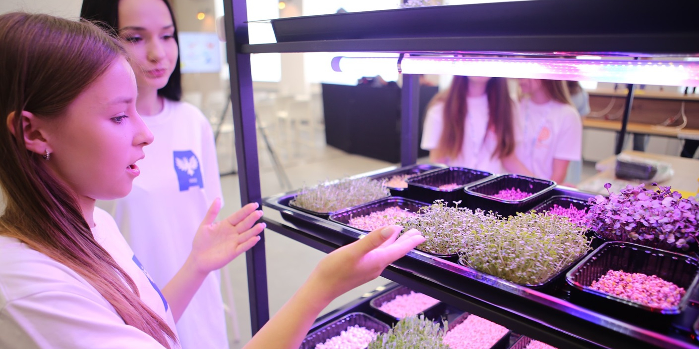 46bd97372553a2484301c23edb9cc6ca