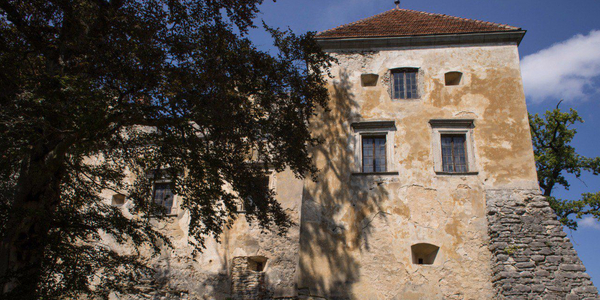 Бобри, неформальний діалог та інвестиції: Бібрська громада впроваджує інструменти розвитку
