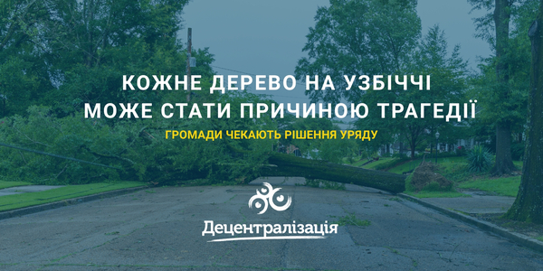 Кожне дерево на узбіччі може стати причиною трагедії — громади чекають рішення Уряду