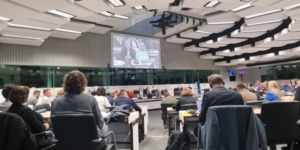 Партнерства та реформи для розвитку регіональної політики: тези із сесії у межах EURegionsWeek