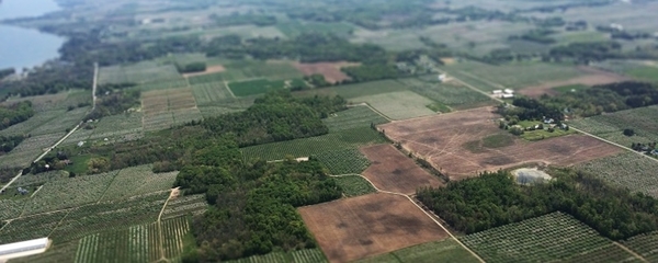Навіщо ОТГ розпоряджатися державними землями, - відеокоментар експерта