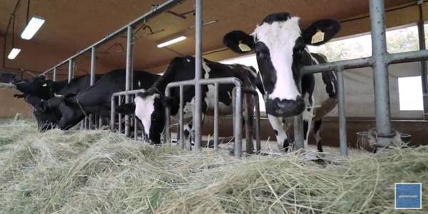 Family farms in Pokrovske: “UA: First” launched programme cycle of success stories in hromadas