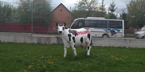 Чим корисний досвід вінницьких громад для ОТГ Львівщини