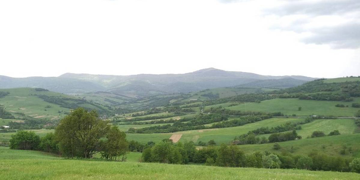 97393fcfeb203053a84b1e4883819f48