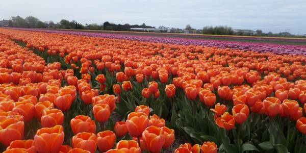 Life of Dnipropetrovsk Oblast’s smallest homada