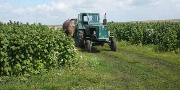 Cooperative movement or How villages can make profit