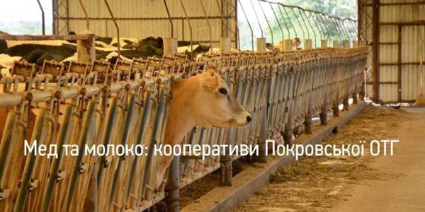Milk and honey: cooperatives of Pokrovska AH