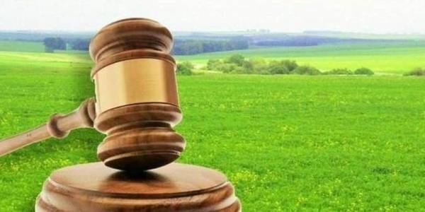 Аукціони на мільйони або Як Овруцька ОТГ заробила мільйони на закинутій ділянці