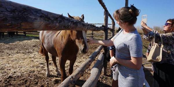 Сільське господарство та зелений туризм – перспективи розвитку Черкаської ОТГ