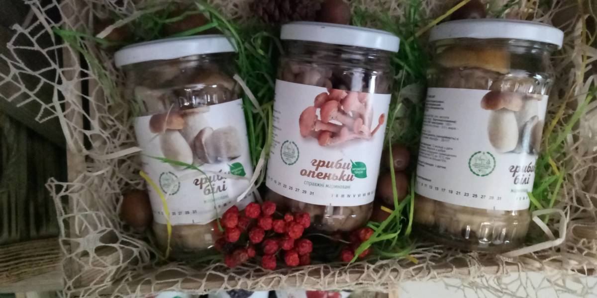 C9ae3d397f037869bec9cbef145c0c55