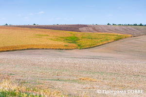 Thumb %d0%9e%d0%ba%d0%be%d0%bb%d0%b8%d1%86%d1%96 %d1%81%d0%b5%d0%bb%d0%b0 %d0%a1%d0%b0%d0%bf%d0%be%d0%b3%d1%96%d0%b2  %d0%91%d0%be%d1%80%d1%89%d1%96%d0%b2%d1%81%d1%8c%d0%ba%d0%b0 %d0%b3%d1%80%d0%be%d0%bc%d0%b0%d0%b4%d0%b0  4 