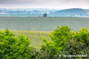 Thumb %d0%92%d0%b8%d0%b4 %d1%96%d0%b7 %d0%9a%d0%be%d0%b7%d0%b0%d1%86%d1%8c%d0%ba%d0%be%d1%97 %d0%bc%d0%be%d0%b3%d0%b8%d0%bb%d0%b8 %d0%bf%d0%be%d0%b1%d0%bb%d0%b8%d0%b7%d1%83 %d0%bc%d1%96%d1%81%d1%82%d0%b0 %d0%97%d0%b1%d0%be%d1%80%d1%96%d0%b2  %d0%97%d0%b1%d0%be%d1%80%d1%96%d0%b2%d1%81%d1%8c%d0%ba%d0%b0 %d0%b3%d1%80%d0%be%d0%bc%d0%b0%d0%b4%d0%b0  9 