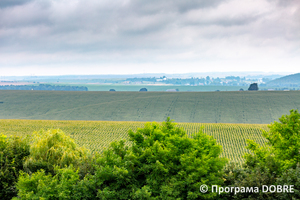 Thumb %d0%92%d0%b8%d0%b4 %d1%96%d0%b7 %d0%9a%d0%be%d0%b7%d0%b0%d1%86%d1%8c%d0%ba%d0%be%d1%97 %d0%bc%d0%be%d0%b3%d0%b8%d0%bb%d0%b8 %d0%bf%d0%be%d0%b1%d0%bb%d0%b8%d0%b7%d1%83 %d0%bc%d1%96%d1%81%d1%82%d0%b0 %d0%97%d0%b1%d0%be%d1%80%d1%96%d0%b2  %d0%97%d0%b1%d0%be%d1%80%d1%96%d0%b2%d1%81%d1%8c%d0%ba%d0%b0 %d0%b3%d1%80%d0%be%d0%bc%d0%b0%d0%b4%d0%b0  13 