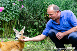 Thumb %d0%92%d0%b0%d1%81%d0%b8%d0%bb%d1%8c %d0%9e%d0%bb%d1%96%d0%b9%d0%bd%d0%b8%d0%ba  %d0%b7%d0%b0%d1%81%d0%bd%d0%be%d0%b2%d0%bd%d0%b8%d0%ba %d0%ba%d0%be%d0%bd%d1%82%d0%b0%d0%ba%d1%82%d0%bd%d0%be%d0%b3%d0%be %d0%b7%d0%be%d0%be%d0%bf%d0%b0%d1%80%d0%ba%d1%83 %d0%bd%d0%b0 %d0%b2%d0%bb%d0%b0%d1%81%d0%bd%d0%be%d0%bc%d1%83 %d0%bf%d0%be%d0%b4%d0%b2%d1%96%d1%80 %d1%97  %d1%81%d0%b5%d0%bb%d0%be %d0%9a%d0%b0%d0%b1%d0%b0%d1%80%d1%96%d0%b2%d0%ba%d0%b0  %d0%97%d0%b1%d0%be%d1%80%d1%96%d0%b2%d1%81%d1%8c%d0%ba%d0%b0 %d0%b3%d1%80%d0%be%d0%bc%d0%b0%d0%b4%d0%b0  2 