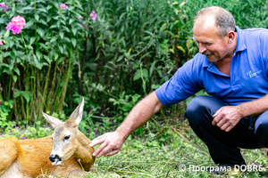 Thumb %d0%92%d0%b0%d1%81%d0%b8%d0%bb%d1%8c %d0%9e%d0%bb%d1%96%d0%b9%d0%bd%d0%b8%d0%ba  %d0%b7%d0%b0%d1%81%d0%bd%d0%be%d0%b2%d0%bd%d0%b8%d0%ba %d0%ba%d0%be%d0%bd%d1%82%d0%b0%d0%ba%d1%82%d0%bd%d0%be%d0%b3%d0%be %d0%b7%d0%be%d0%be%d0%bf%d0%b0%d1%80%d0%ba%d1%83 %d0%bd%d0%b0 %d0%b2%d0%bb%d0%b0%d1%81%d0%bd%d0%be%d0%bc%d1%83 %d0%bf%d0%be%d0%b4%d0%b2%d1%96%d1%80 %d1%97  %d1%81%d0%b5%d0%bb%d0%be %d0%9a%d0%b0%d0%b1%d0%b0%d1%80%d1%96%d0%b2%d0%ba%d0%b0  %d0%97%d0%b1%d0%be%d1%80%d1%96%d0%b2%d1%81%d1%8c%d0%ba%d0%b0 %d0%b3%d1%80%d0%be%d0%bc%d0%b0%d0%b4%d0%b0  4 