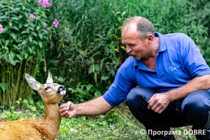 Thumb %d0%92%d0%b0%d1%81%d0%b8%d0%bb%d1%8c %d0%9e%d0%bb%d1%96%d0%b9%d0%bd%d0%b8%d0%ba  %d0%b7%d0%b0%d1%81%d0%bd%d0%be%d0%b2%d0%bd%d0%b8%d0%ba %d0%ba%d0%be%d0%bd%d1%82%d0%b0%d0%ba%d1%82%d0%bd%d0%be%d0%b3%d0%be %d0%b7%d0%be%d0%be%d0%bf%d0%b0%d1%80%d0%ba%d1%83 %d0%bd%d0%b0 %d0%b2%d0%bb%d0%b0%d1%81%d0%bd%d0%be%d0%bc%d1%83 %d0%bf%d0%be%d0%b4%d0%b2%d1%96%d1%80 %d1%97  %d1%81%d0%b5%d0%bb%d0%be %d0%9a%d0%b0%d0%b1%d0%b0%d1%80%d1%96%d0%b2%d0%ba%d0%b0  %d0%97%d0%b1%d0%be%d1%80%d1%96%d0%b2%d1%81%d1%8c%d0%ba%d0%b0 %d0%b3%d1%80%d0%be%d0%bc%d0%b0%d0%b4%d0%b0  5 