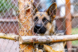 Thumb %d0%9a%d0%be%d0%bd%d1%82%d0%b0%d0%ba%d1%82%d0%bd%d0%b8%d0%b9 %d0%b7%d0%be%d0%be%d0%bf%d0%b0%d1%80%d0%ba %d0%bd%d0%b0 %d0%bf%d0%be%d0%b4%d0%b2%d1%96%d1%80 %d1%97 %d0%92%d0%b0%d1%81%d0%b8%d0%bb%d1%8f %d0%9e%d0%bb%d1%96%d0%b9%d0%bd%d0%b8%d0%ba%d0%b0  %d1%81%d0%b5%d0%bb%d0%be %d0%9a%d0%b0%d0%b1%d0%b0%d1%80%d1%96%d0%b2%d0%ba%d0%b0  %d0%97%d0%b1%d0%be%d1%80%d1%96%d0%b2%d1%81%d1%8c%d0%ba%d0%b0 %d0%b3%d1%80%d0%be%d0%bc%d0%b0%d0%b4%d0%b8  15 