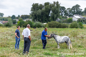 Thumb %d0%9a%d0%be%d0%bd%d1%82%d0%b0%d0%ba%d1%82%d0%bd%d0%b8%d0%b9 %d0%b7%d0%be%d0%be%d0%bf%d0%b0%d1%80%d0%ba %d0%bd%d0%b0 %d0%bf%d0%be%d0%b4%d0%b2%d1%96%d1%80 %d1%97 %d0%92%d0%b0%d1%81%d0%b8%d0%bb%d1%8f %d0%9e%d0%bb%d1%96%d0%b9%d0%bd%d0%b8%d0%ba%d0%b0  %d1%81%d0%b5%d0%bb%d0%be %d0%9a%d0%b0%d0%b1%d0%b0%d1%80%d1%96%d0%b2%d0%ba%d0%b0  %d0%97%d0%b1%d0%be%d1%80%d1%96%d0%b2%d1%81%d1%8c%d0%ba%d0%b0 %d0%b3%d1%80%d0%be%d0%bc%d0%b0%d0%b4%d0%b8  18 