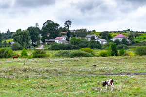 Thumb %d0%9a%d0%be%d0%bd%d1%82%d0%b0%d0%ba%d1%82%d0%bd%d0%b8%d0%b9 %d0%b7%d0%be%d0%be%d0%bf%d0%b0%d1%80%d0%ba %d0%bd%d0%b0 %d0%bf%d0%be%d0%b4%d0%b2%d1%96%d1%80 %d1%97 %d0%92%d0%b0%d1%81%d0%b8%d0%bb%d1%8f %d0%9e%d0%bb%d1%96%d0%b9%d0%bd%d0%b8%d0%ba%d0%b0  %d1%81%d0%b5%d0%bb%d0%be %d0%9a%d0%b0%d0%b1%d0%b0%d1%80%d1%96%d0%b2%d0%ba%d0%b0  %d0%97%d0%b1%d0%be%d1%80%d1%96%d0%b2%d1%81%d1%8c%d0%ba%d0%b0 %d0%b3%d1%80%d0%be%d0%bc%d0%b0%d0%b4%d0%b8  36 