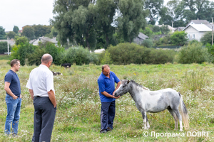 Thumb %d0%9a%d0%be%d0%bd%d1%82%d0%b0%d0%ba%d1%82%d0%bd%d0%b8%d0%b9 %d0%b7%d0%be%d0%be%d0%bf%d0%b0%d1%80%d0%ba %d0%bd%d0%b0 %d0%bf%d0%be%d0%b4%d0%b2%d1%96%d1%80 %d1%97 %d0%92%d0%b0%d1%81%d0%b8%d0%bb%d1%8f %d0%9e%d0%bb%d1%96%d0%b9%d0%bd%d0%b8%d0%ba%d0%b0  %d1%81%d0%b5%d0%bb%d0%be %d0%9a%d0%b0%d0%b1%d0%b0%d1%80%d1%96%d0%b2%d0%ba%d0%b0  %d0%97%d0%b1%d0%be%d1%80%d1%96%d0%b2%d1%81%d1%8c%d0%ba%d0%b0 %d0%b3%d1%80%d0%be%d0%bc%d0%b0%d0%b4%d0%b8  45 