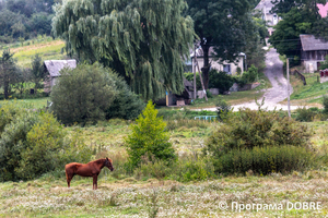 Thumb %d0%9a%d0%be%d0%bd%d1%82%d0%b0%d0%ba%d1%82%d0%bd%d0%b8%d0%b9 %d0%b7%d0%be%d0%be%d0%bf%d0%b0%d1%80%d0%ba %d0%bd%d0%b0 %d0%bf%d0%be%d0%b4%d0%b2%d1%96%d1%80 %d1%97 %d0%92%d0%b0%d1%81%d0%b8%d0%bb%d1%8f %d0%9e%d0%bb%d1%96%d0%b9%d0%bd%d0%b8%d0%ba%d0%b0  %d1%81%d0%b5%d0%bb%d0%be %d0%9a%d0%b0%d0%b1%d0%b0%d1%80%d1%96%d0%b2%d0%ba%d0%b0  %d0%97%d0%b1%d0%be%d1%80%d1%96%d0%b2%d1%81%d1%8c%d0%ba%d0%b0 %d0%b3%d1%80%d0%be%d0%bc%d0%b0%d0%b4%d0%b8  46 