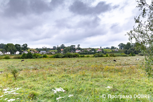 Thumb %d0%9a%d0%be%d0%bd%d1%82%d0%b0%d0%ba%d1%82%d0%bd%d0%b8%d0%b9 %d0%b7%d0%be%d0%be%d0%bf%d0%b0%d1%80%d0%ba %d0%bd%d0%b0 %d0%bf%d0%be%d0%b4%d0%b2%d1%96%d1%80 %d1%97 %d0%92%d0%b0%d1%81%d0%b8%d0%bb%d1%8f %d0%9e%d0%bb%d1%96%d0%b9%d0%bd%d0%b8%d0%ba%d0%b0  %d1%81%d0%b5%d0%bb%d0%be %d0%9a%d0%b0%d0%b1%d0%b0%d1%80%d1%96%d0%b2%d0%ba%d0%b0  %d0%97%d0%b1%d0%be%d1%80%d1%96%d0%b2%d1%81%d1%8c%d0%ba%d0%b0 %d0%b3%d1%80%d0%be%d0%bc%d0%b0%d0%b4%d0%b8  49 