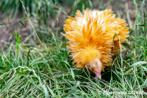 Thumb %d0%9a%d0%be%d0%bd%d1%82%d0%b0%d0%ba%d1%82%d0%bd%d0%b8%d0%b9 %d0%b7%d0%be%d0%be%d0%bf%d0%b0%d1%80%d0%ba %d0%bd%d0%b0 %d0%bf%d0%be%d0%b4%d0%b2%d1%96%d1%80 %d1%97 %d0%92%d0%b0%d1%81%d0%b8%d0%bb%d1%8f %d0%9e%d0%bb%d1%96%d0%b9%d0%bd%d0%b8%d0%ba%d0%b0  %d1%81%d0%b5%d0%bb%d0%be %d0%9a%d0%b0%d0%b1%d0%b0%d1%80%d1%96%d0%b2%d0%ba%d0%b0  %d0%97%d0%b1%d0%be%d1%80%d1%96%d0%b2%d1%81%d1%8c%d0%ba%d0%b0 %d0%b3%d1%80%d0%be%d0%bc%d0%b0%d0%b4%d0%b8  57 