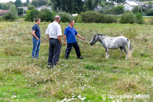 Thumb %d0%9a%d0%be%d0%bd%d1%82%d0%b0%d0%ba%d1%82%d0%bd%d0%b8%d0%b9 %d0%b7%d0%be%d0%be%d0%bf%d0%b0%d1%80%d0%ba %d0%bd%d0%b0 %d0%bf%d0%be%d0%b4%d0%b2%d1%96%d1%80 %d1%97 %d0%92%d0%b0%d1%81%d0%b8%d0%bb%d1%8f %d0%9e%d0%bb%d1%96%d0%b9%d0%bd%d0%b8%d0%ba%d0%b0  %d1%81%d0%b5%d0%bb%d0%be %d0%9a%d0%b0%d0%b1%d0%b0%d1%80%d1%96%d0%b2%d0%ba%d0%b0  %d0%97%d0%b1%d0%be%d1%80%d1%96%d0%b2%d1%81%d1%8c%d0%ba%d0%b0 %d0%b3%d1%80%d0%be%d0%bc%d0%b0%d0%b4%d0%b8  76 