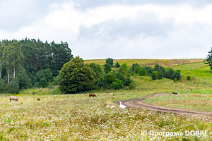 Thumb %d0%9a%d0%be%d0%bd%d1%82%d0%b0%d0%ba%d1%82%d0%bd%d0%b8%d0%b9 %d0%b7%d0%be%d0%be%d0%bf%d0%b0%d1%80%d0%ba %d0%bd%d0%b0 %d0%bf%d0%be%d0%b4%d0%b2%d1%96%d1%80 %d1%97 %d0%92%d0%b0%d1%81%d0%b8%d0%bb%d1%8f %d0%9e%d0%bb%d1%96%d0%b9%d0%bd%d0%b8%d0%ba%d0%b0  %d1%81%d0%b5%d0%bb%d0%be %d0%9a%d0%b0%d0%b1%d0%b0%d1%80%d1%96%d0%b2%d0%ba%d0%b0  %d0%97%d0%b1%d0%be%d1%80%d1%96%d0%b2%d1%81%d1%8c%d0%ba%d0%b0 %d0%b3%d1%80%d0%be%d0%bc%d0%b0%d0%b4%d0%b8  78 