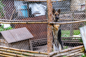 Thumb %d0%9a%d0%be%d0%bd%d1%82%d0%b0%d0%ba%d1%82%d0%bd%d0%b8%d0%b9 %d0%b7%d0%be%d0%be%d0%bf%d0%b0%d1%80%d0%ba %d0%bd%d0%b0 %d0%bf%d0%be%d0%b4%d0%b2%d1%96%d1%80 %d1%97 %d0%92%d0%b0%d1%81%d0%b8%d0%bb%d1%8f %d0%9e%d0%bb%d1%96%d0%b9%d0%bd%d0%b8%d0%ba%d0%b0  %d1%81%d0%b5%d0%bb%d0%be %d0%9a%d0%b0%d0%b1%d0%b0%d1%80%d1%96%d0%b2%d0%ba%d0%b0  %d0%97%d0%b1%d0%be%d1%80%d1%96%d0%b2%d1%81%d1%8c%d0%ba%d0%b0 %d0%b3%d1%80%d0%be%d0%bc%d0%b0%d0%b4%d0%b8  79 