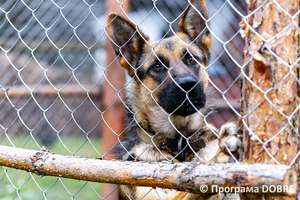 Thumb %d0%9a%d0%be%d0%bd%d1%82%d0%b0%d0%ba%d1%82%d0%bd%d0%b8%d0%b9 %d0%b7%d0%be%d0%be%d0%bf%d0%b0%d1%80%d0%ba %d0%bd%d0%b0 %d0%bf%d0%be%d0%b4%d0%b2%d1%96%d1%80 %d1%97 %d0%92%d0%b0%d1%81%d0%b8%d0%bb%d1%8f %d0%9e%d0%bb%d1%96%d0%b9%d0%bd%d0%b8%d0%ba%d0%b0  %d1%81%d0%b5%d0%bb%d0%be %d0%9a%d0%b0%d0%b1%d0%b0%d1%80%d1%96%d0%b2%d0%ba%d0%b0  %d0%97%d0%b1%d0%be%d1%80%d1%96%d0%b2%d1%81%d1%8c%d0%ba%d0%b0 %d0%b3%d1%80%d0%be%d0%bc%d0%b0%d0%b4%d0%b8  80 