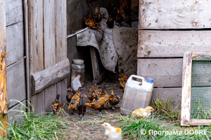 Thumb %d0%9a%d0%be%d0%bd%d1%82%d0%b0%d0%ba%d1%82%d0%bd%d0%b8%d0%b9 %d0%b7%d0%be%d0%be%d0%bf%d0%b0%d1%80%d0%ba %d0%bd%d0%b0 %d0%bf%d0%be%d0%b4%d0%b2%d1%96%d1%80 %d1%97 %d0%92%d0%b0%d1%81%d0%b8%d0%bb%d1%8f %d0%9e%d0%bb%d1%96%d0%b9%d0%bd%d0%b8%d0%ba%d0%b0  %d1%81%d0%b5%d0%bb%d0%be %d0%9a%d0%b0%d0%b1%d0%b0%d1%80%d1%96%d0%b2%d0%ba%d0%b0  %d0%97%d0%b1%d0%be%d1%80%d1%96%d0%b2%d1%81%d1%8c%d0%ba%d0%b0 %d0%b3%d1%80%d0%be%d0%bc%d0%b0%d0%b4%d0%b8  91 