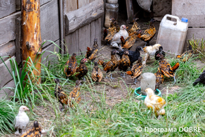 Thumb %d0%9a%d0%be%d0%bd%d1%82%d0%b0%d0%ba%d1%82%d0%bd%d0%b8%d0%b9 %d0%b7%d0%be%d0%be%d0%bf%d0%b0%d1%80%d0%ba %d0%bd%d0%b0 %d0%bf%d0%be%d0%b4%d0%b2%d1%96%d1%80 %d1%97 %d0%92%d0%b0%d1%81%d0%b8%d0%bb%d1%8f %d0%9e%d0%bb%d1%96%d0%b9%d0%bd%d0%b8%d0%ba%d0%b0  %d1%81%d0%b5%d0%bb%d0%be %d0%9a%d0%b0%d0%b1%d0%b0%d1%80%d1%96%d0%b2%d0%ba%d0%b0  %d0%97%d0%b1%d0%be%d1%80%d1%96%d0%b2%d1%81%d1%8c%d0%ba%d0%b0 %d0%b3%d1%80%d0%be%d0%bc%d0%b0%d0%b4%d0%b8  93 