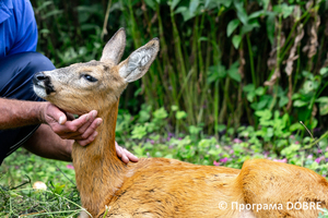 Thumb %d0%9a%d0%be%d0%bd%d1%82%d0%b0%d0%ba%d1%82%d0%bd%d0%b8%d0%b9 %d0%b7%d0%be%d0%be%d0%bf%d0%b0%d1%80%d0%ba %d0%bd%d0%b0 %d0%bf%d0%be%d0%b4%d0%b2%d1%96%d1%80 %d1%97 %d0%92%d0%b0%d1%81%d0%b8%d0%bb%d1%8f %d0%9e%d0%bb%d1%96%d0%b9%d0%bd%d0%b8%d0%ba%d0%b0  %d1%81%d0%b5%d0%bb%d0%be %d0%9a%d0%b0%d0%b1%d0%b0%d1%80%d1%96%d0%b2%d0%ba%d0%b0  %d0%97%d0%b1%d0%be%d1%80%d1%96%d0%b2%d1%81%d1%8c%d0%ba%d0%b0 %d0%b3%d1%80%d0%be%d0%bc%d0%b0%d0%b4%d0%b8  112 