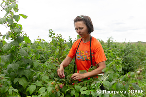 Thumb %d0%86%d1%80%d0%b8%d0%bd%d0%b0 %d0%9a%d0%be%d1%81%d1%82%d0%b5%d1%86%d1%8c%d0%ba%d0%b0.  %d1%83%d1%87%d0%b0%d1%81%d0%bd%d0%b8%d1%86%d1%8f %d0%ba%d0%be%d0%be%d0%bf%d0%b5%d1%80%d0%b0%d1%82%d0%b8%d0%b2%d1%83 %d0%9c%d0%b0%d0%bb%d0%b8%d0%bd%d0%be%d0%b2%d0%b8%d0%b9 %d0%a0%d0%b0%d0%b9  %d1%81%d0%b5%d0%bb%d0%be %d0%9a%d1%80%d0%b0%d1%81%d0%bd%d0%b0  %d0%97%d0%b1%d0%be%d1%80%d1%96%d0%b2%d1%81%d1%8c%d0%ba%d0%b0 %d0%b3%d1%80%d0%be%d0%bc%d0%b0%d0%b4%d0%b0  1 