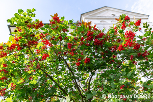 Thumb %d0%9f%d0%be%d0%b4%d0%b2%d1%96%d1%80 %d1%8f %d0%9c%d1%83%d0%b7%d0%b5%d1%8e %d0%97%d0%b1%d0%be%d1%80%d1%96%d0%b2%d1%81%d1%8c%d0%ba%d0%be%d1%97 %d0%b1%d0%b8%d1%82%d0%b2%d0%b8  %d0%bc%d1%96%d1%81%d1%82%d0%be %d0%97%d0%b1%d0%be%d1%80%d1%96%d0%b2  %d0%97%d0%b1%d0%be%d1%80%d1%96%d0%b2%d1%81%d1%8c%d0%ba%d0%b0 %d0%b3%d1%80%d0%be%d0%bc%d0%b0%d0%b4%d0%b0  12 